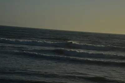 DSC_7268 (Large).JPG